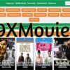 9XMovies 300MB Movies Download 1